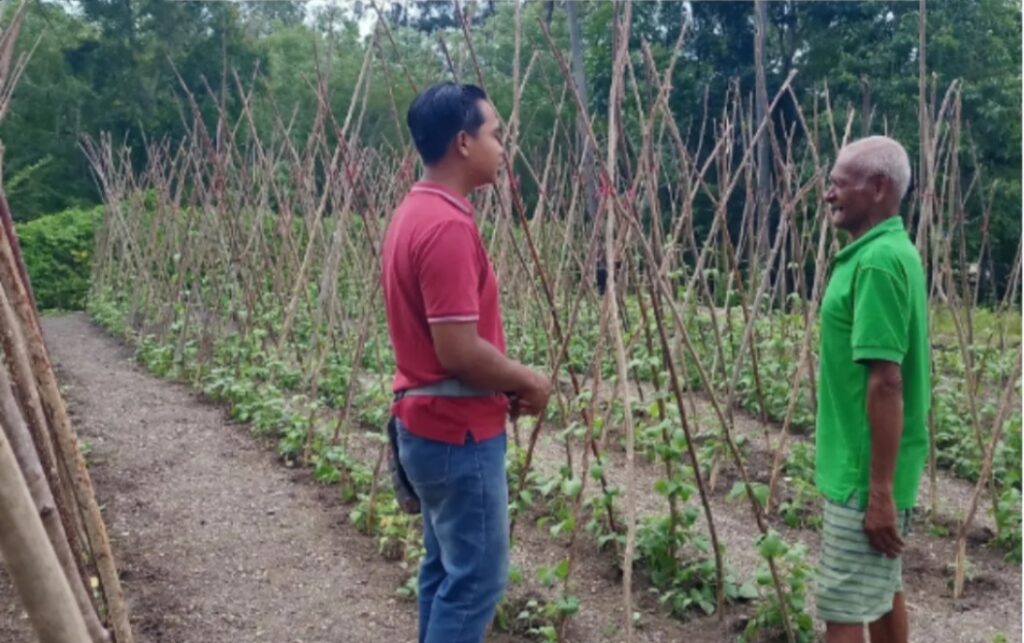 YFMG Perkuat Pendampingan Petani, Desa Maumolo Bergerak Menuju Kemandirian