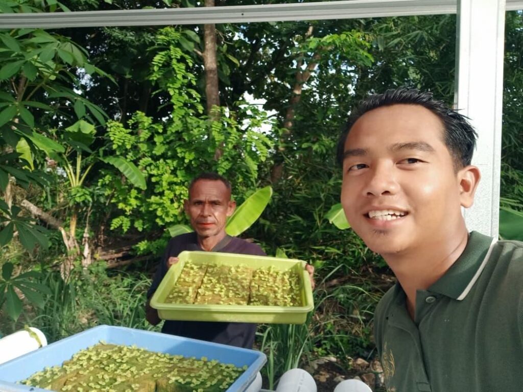 Dari Nara Kupu Village, Pemuda Ini Buktikan Pertanian Bisa Jadi Masa Depan Bangsa