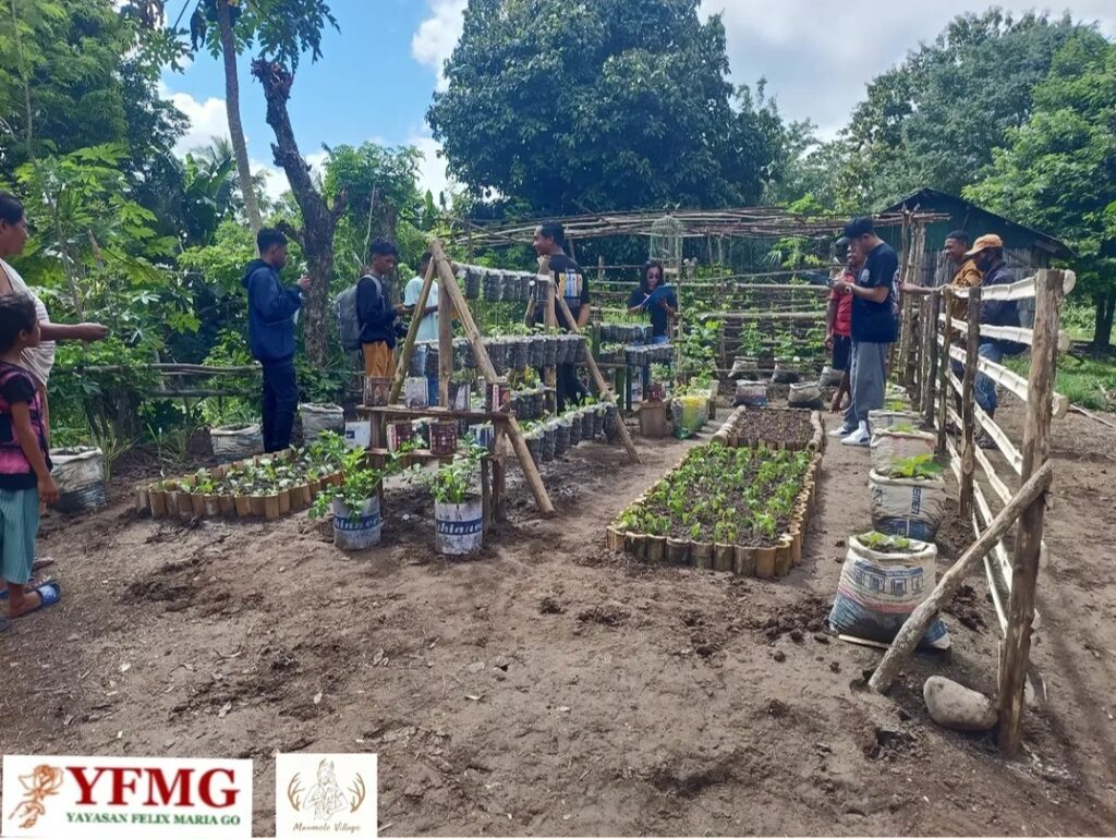 YFMG Gerakkan Warga Maumolo Manfaatkan Pekarangan Lewat Lomba Dapur Hidup