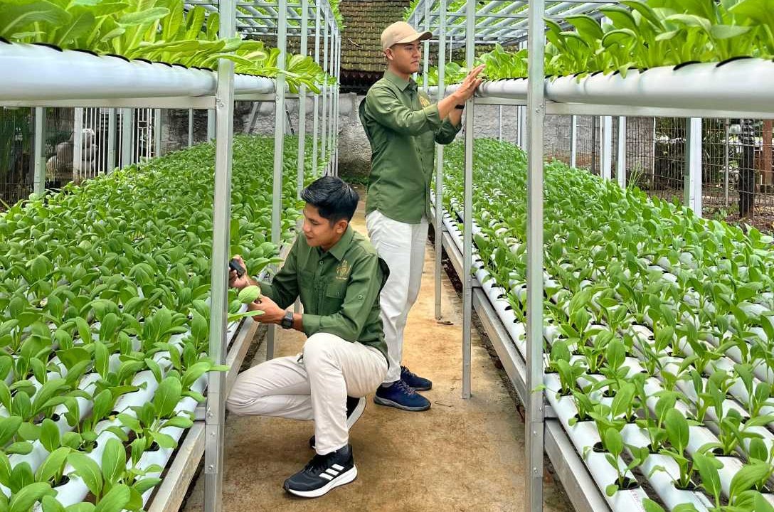Nara Kupu Village Buktikan Hidroponik NFT Mampu Jawab Tantangan Perubahan Iklim