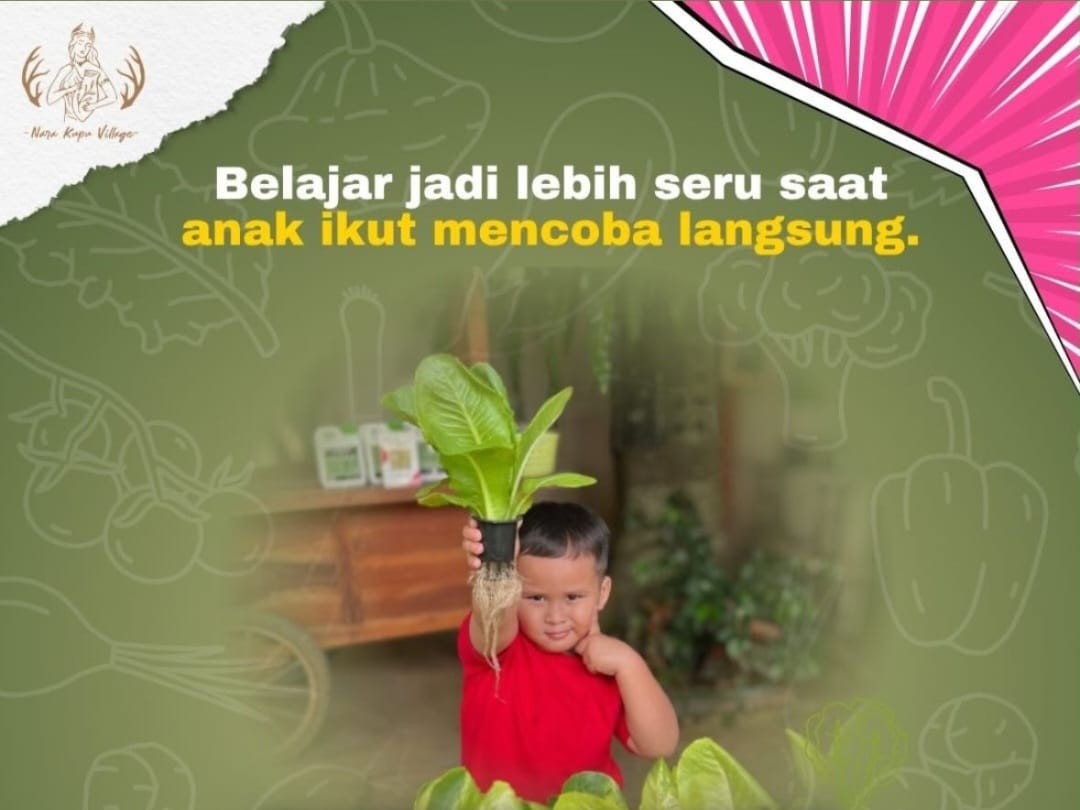 Program Panen Sayur Nara Kupu Village Ajak Anak Belajar Sambil Bermain dan Peduli Lingkungan