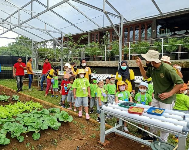 Belajar dari Alam: Nara Kupu Village Hadirkan Paket Edufarm Interaktif untuk Anak